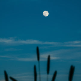 Een introductie in werken met de maan