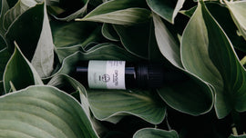 Medicinale paddenstoelen van Opus15: voor fertiliteit, PMS, allergie, vermoeidheid en brainpower