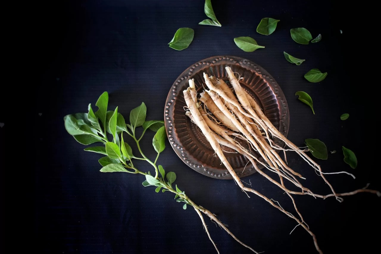 De kracht van Ashwagandha