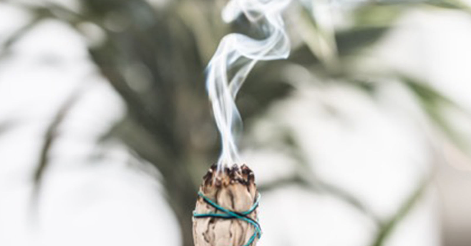 Join The Moon Club & ontvang GRATIS selfcare tips