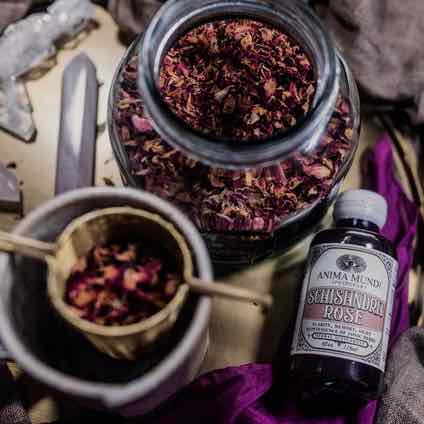 Anima Mundi Schisandra Rose Elixer | Adaptogenic Super berry