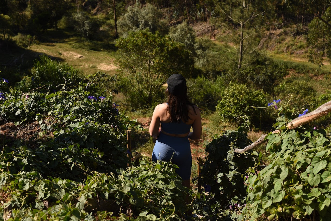 Dit betekent Venus Retrograde in Leeuw voor jou