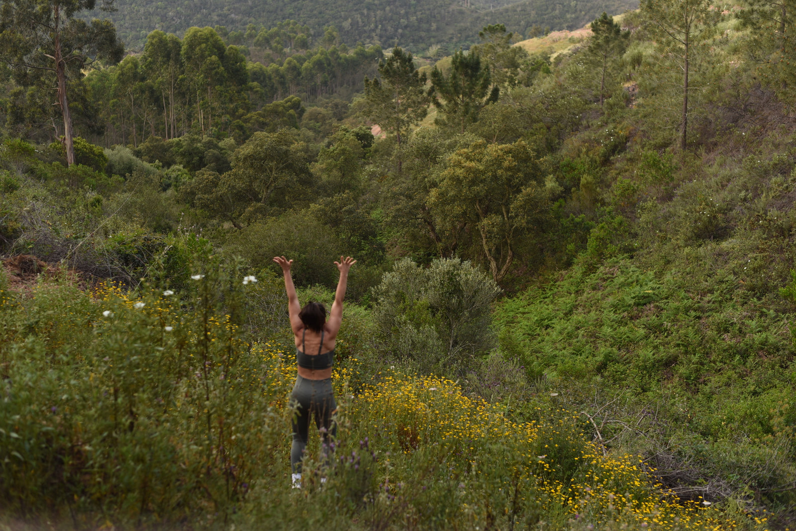 Spring Reset - detox mind, body en soul : 7 makkelijke selfcare lente tips uit de Ayurveda