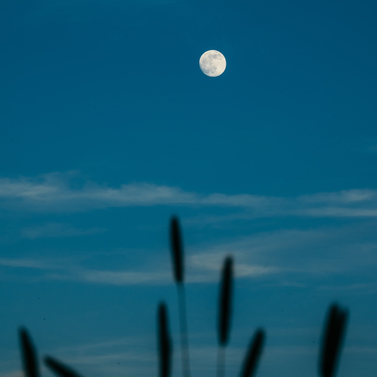 Een introductie in werken met de maan