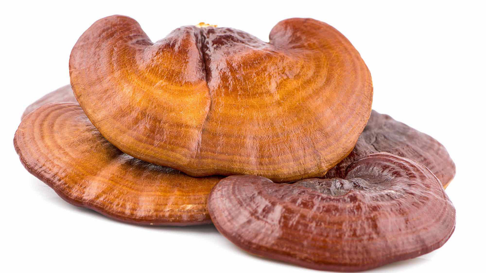 De verschillende adaptogenen uitgelegd