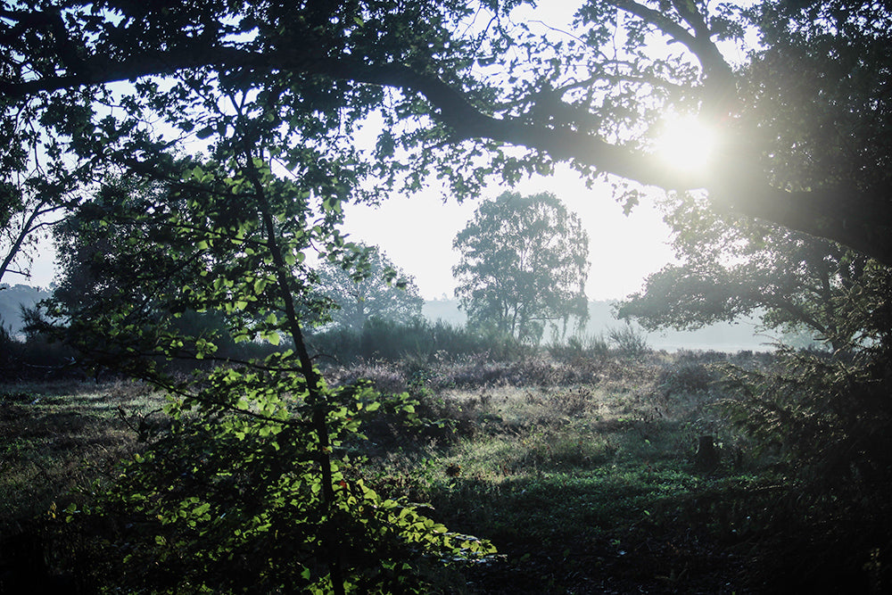 Get The Innerpeace You Want - RYW Selfcare Retreat