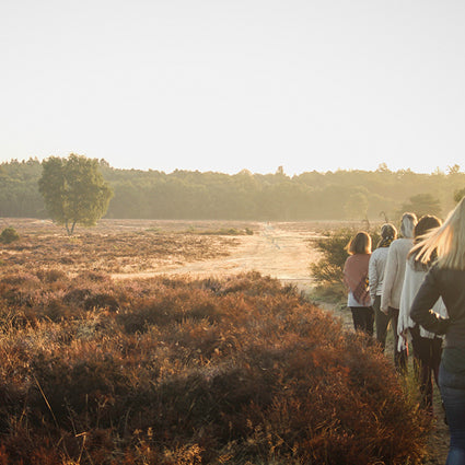 Drie waardevolle retreats in nederland