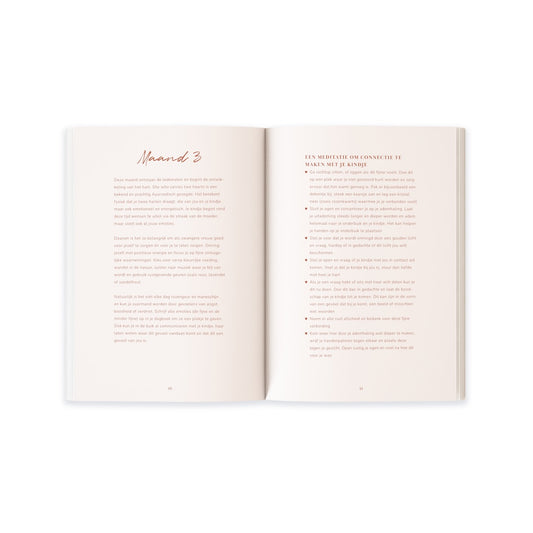 Ayurveda zwangerschaps- en kraamdagboek