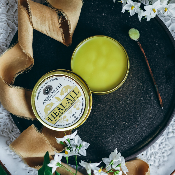 Arnica Balm Anima Mundi