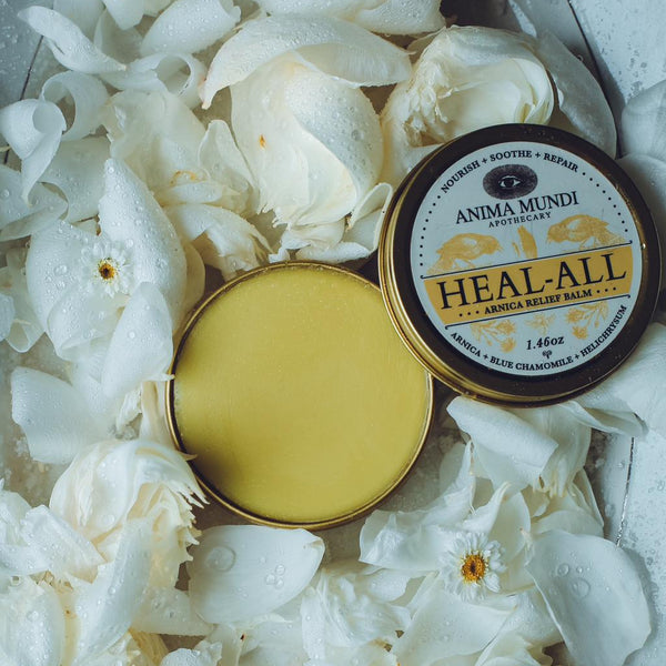 Arnica Anima Mundi Balm